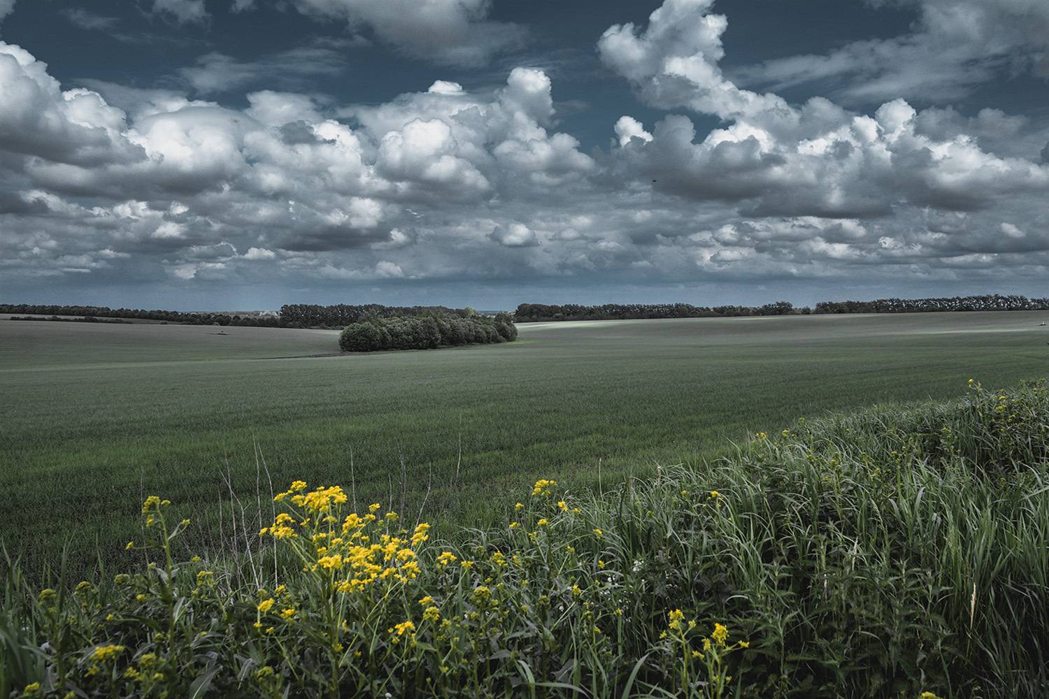 , Анатолий Зверев