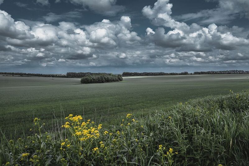 Просто пейзаж. фото превью