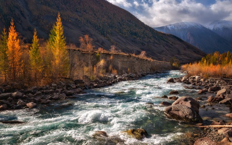 горный алтай, осень, река карагем, пороги, лиственницы, вершины катунского хребта Звонкие пороги... фото превью