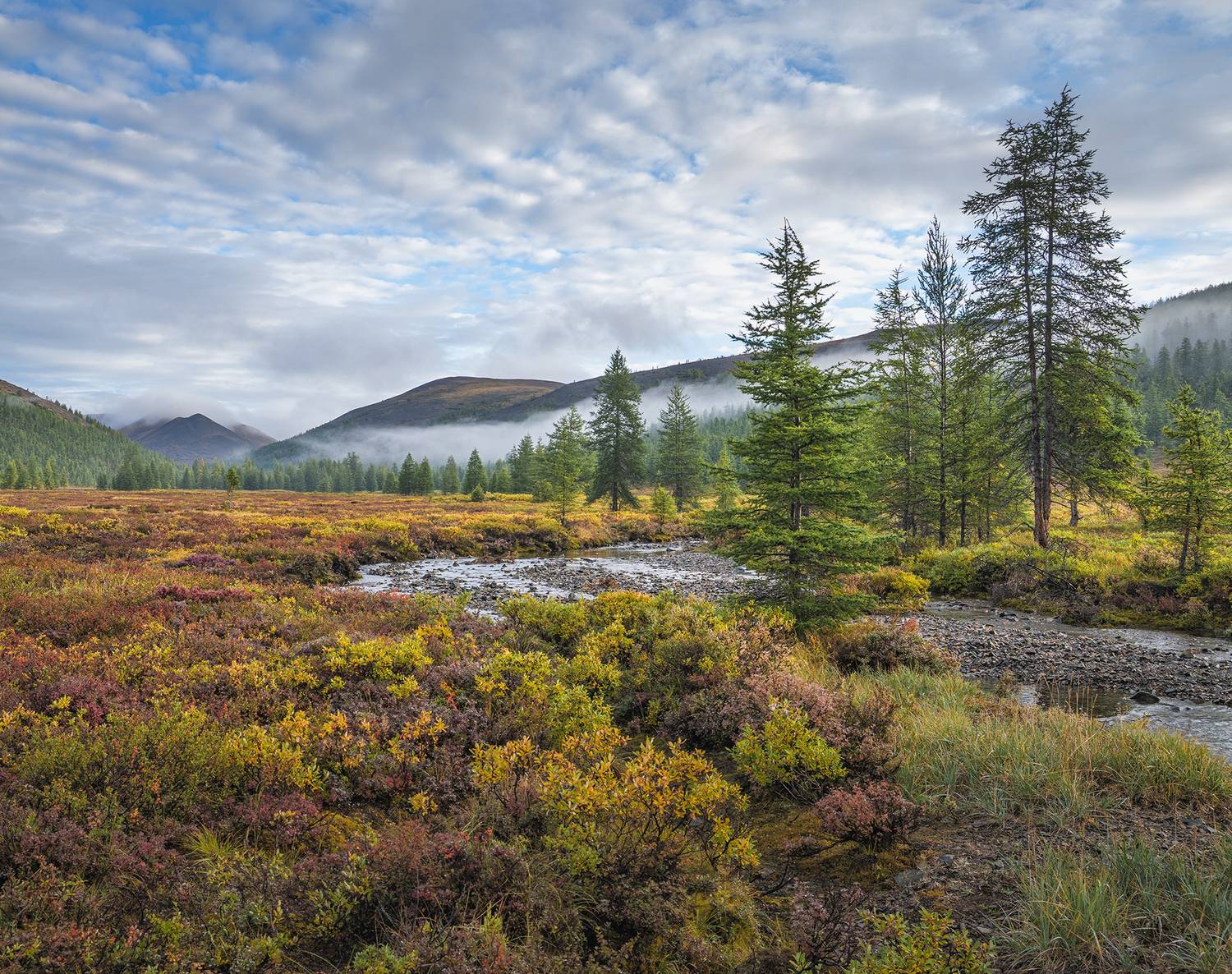 , Андреев Николай