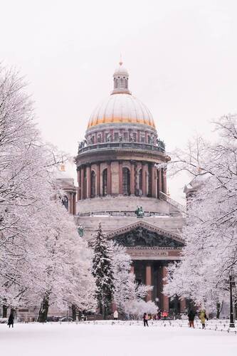 Сквозь заснеженные ветви деревьев