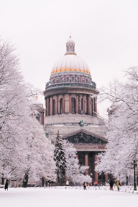 Сквозь заснеженные ветви деревьев фото превью