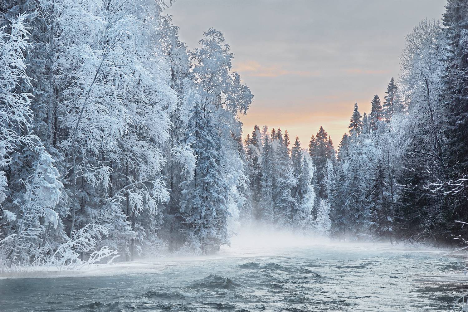 , Петр Косых