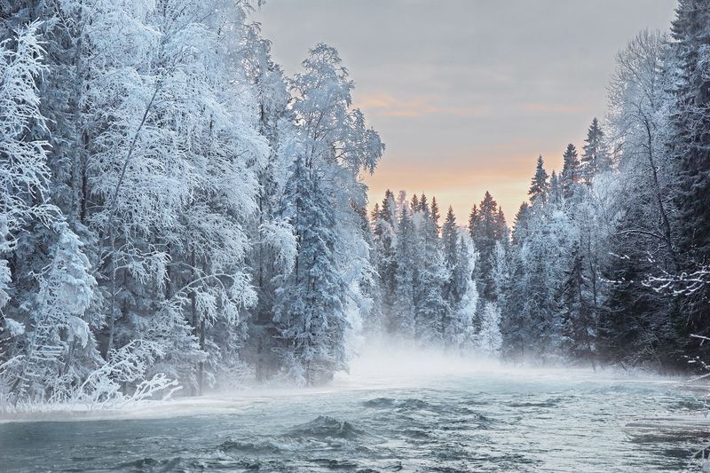 Зимние туманы фото превью