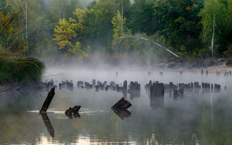 Туманом шепчет тишина... фото превью
