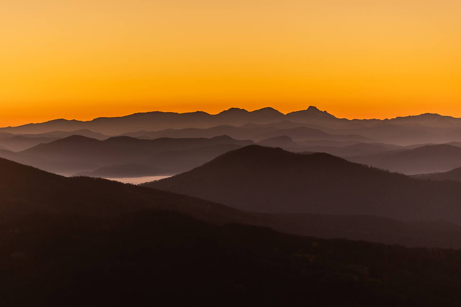 , Илья Михеев