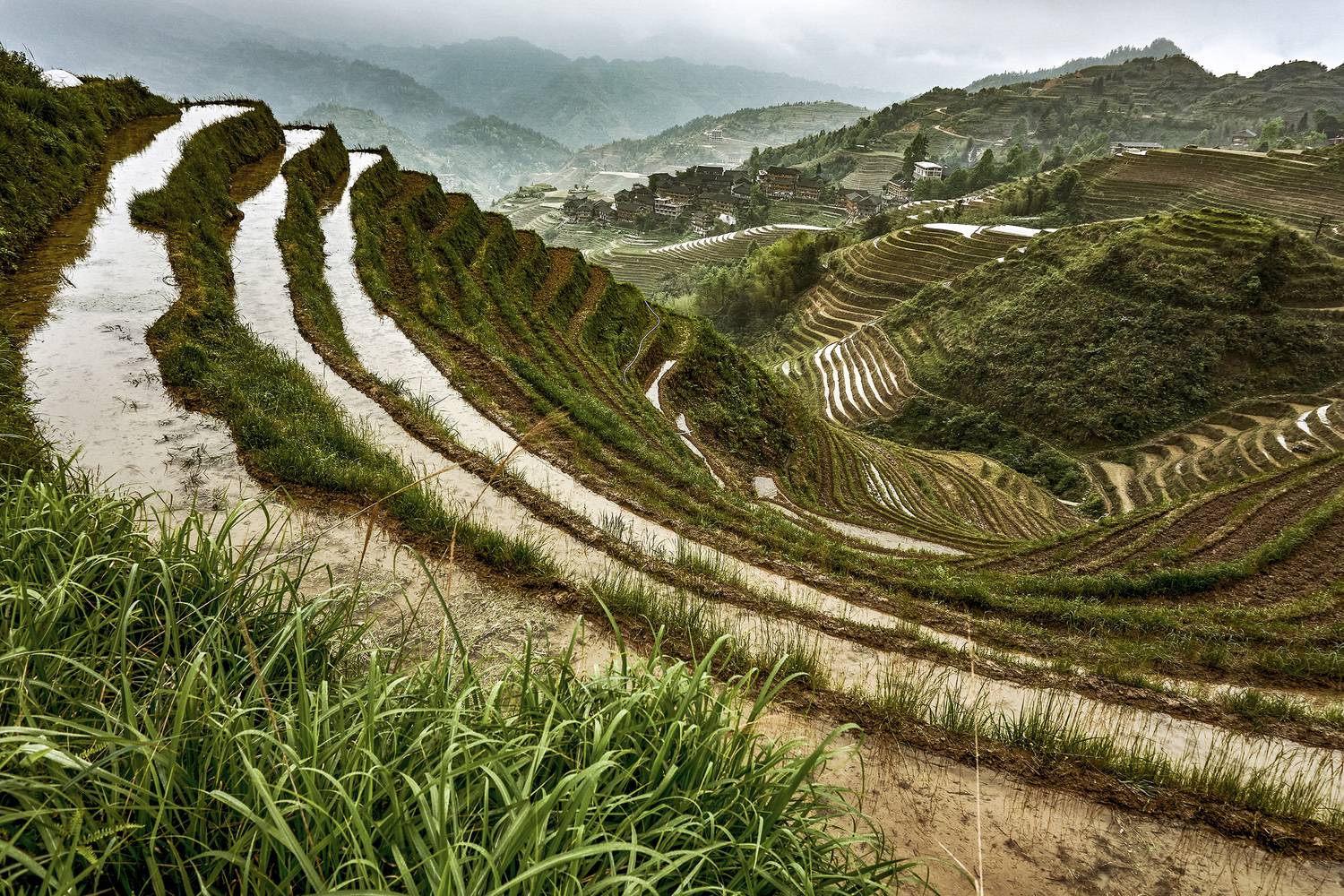 , Низовцев Сергей