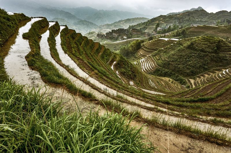 Рисовые террасы Лунцзи фото превью