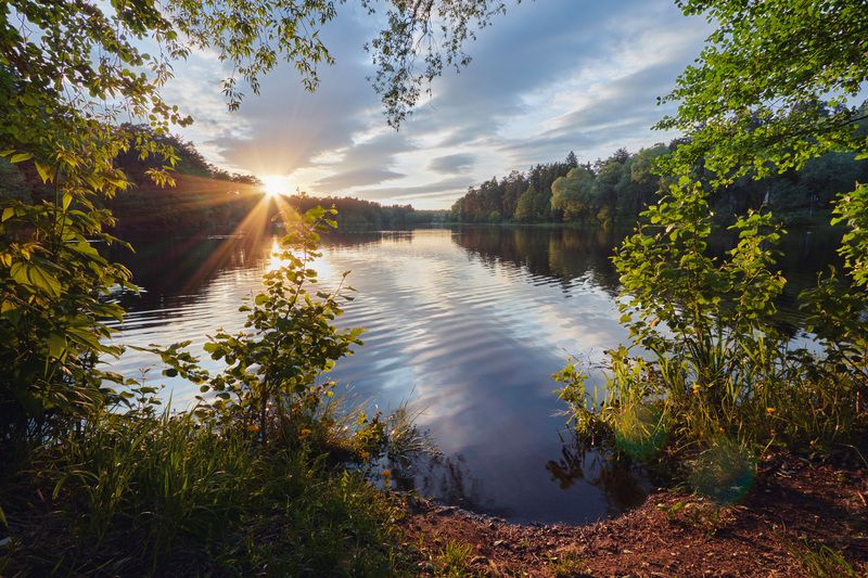 У озера фото превью