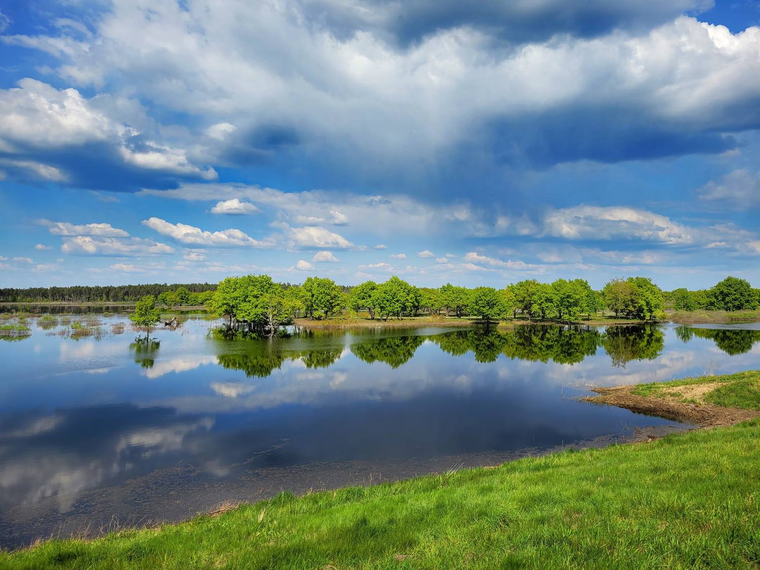 , Шляга Сергей