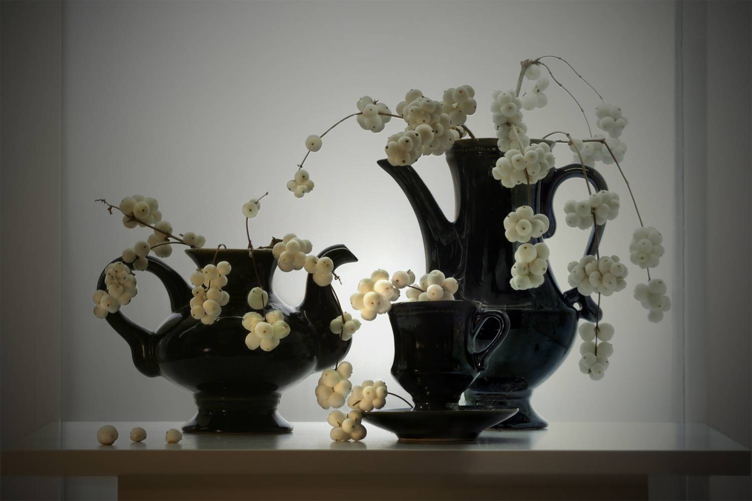 снежноягодник, Заболотская Ольга