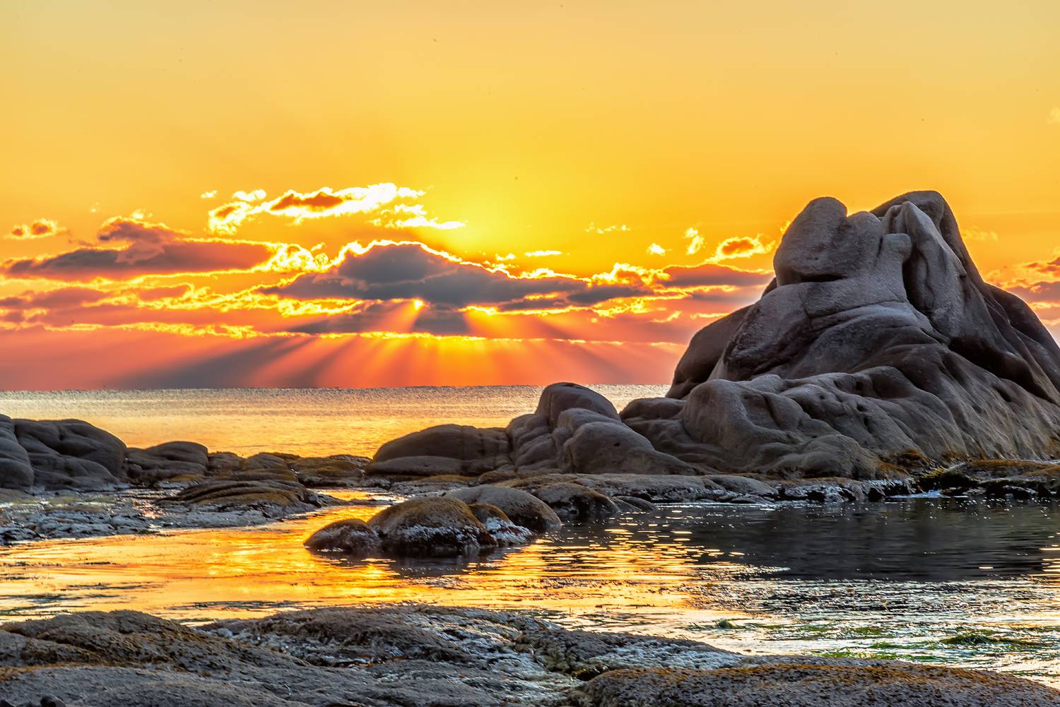 Приморье, Японское море, Россия, Владимир Иванов