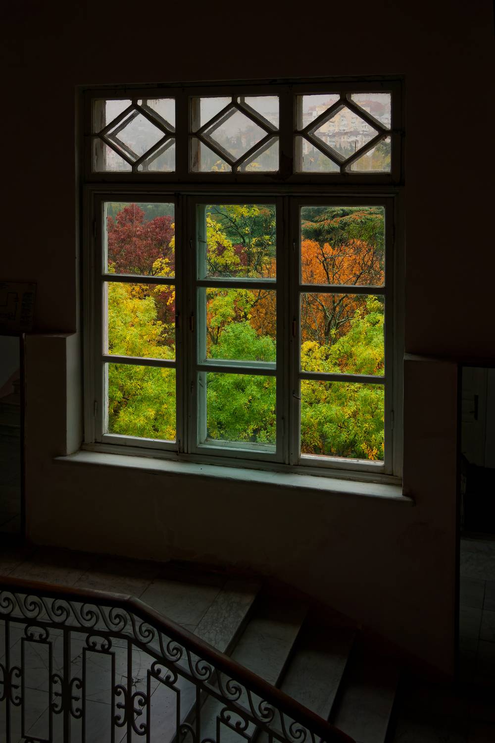 , Какоткин Роман