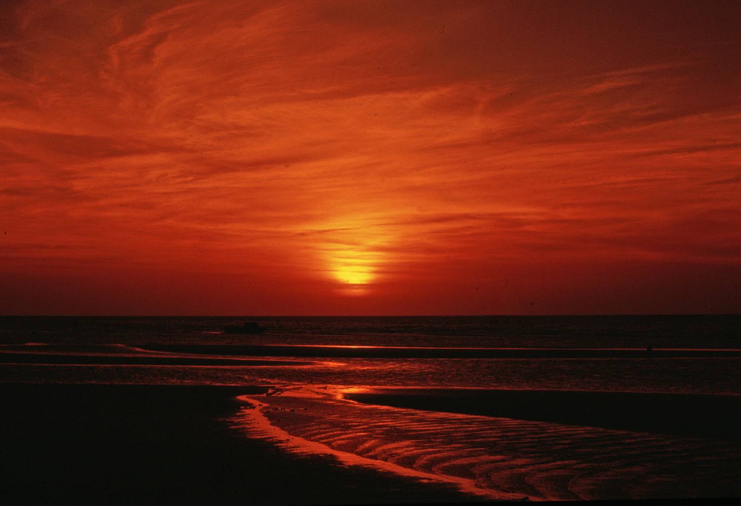 , Андрей Петросян