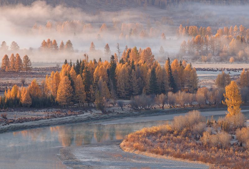алтай, горный алтай, утро, туман, лиственницы Утро туманное фото превью