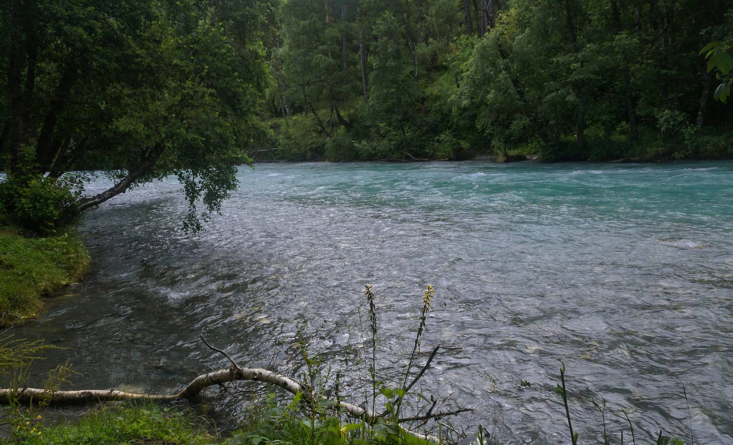 , Лысенко Сергей