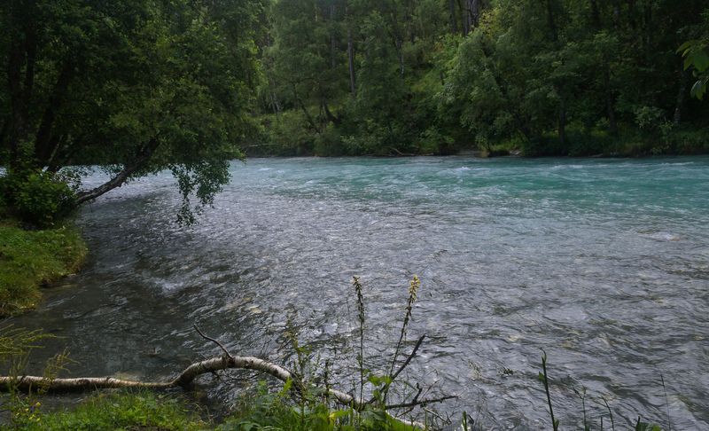 У реки. фото превью