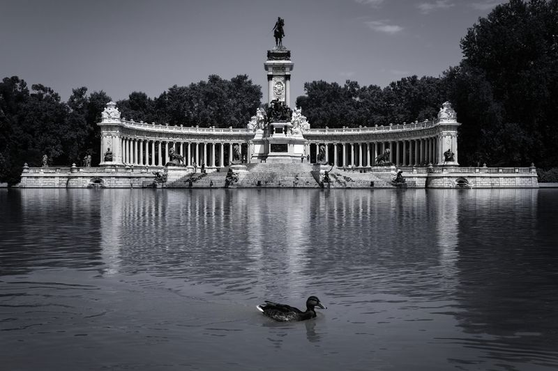 #Water #Cloud #Sky #Black #Lighting #Black-and-white #Style #Lake #Tree #Tower Great Pond of El Retiro фото превью