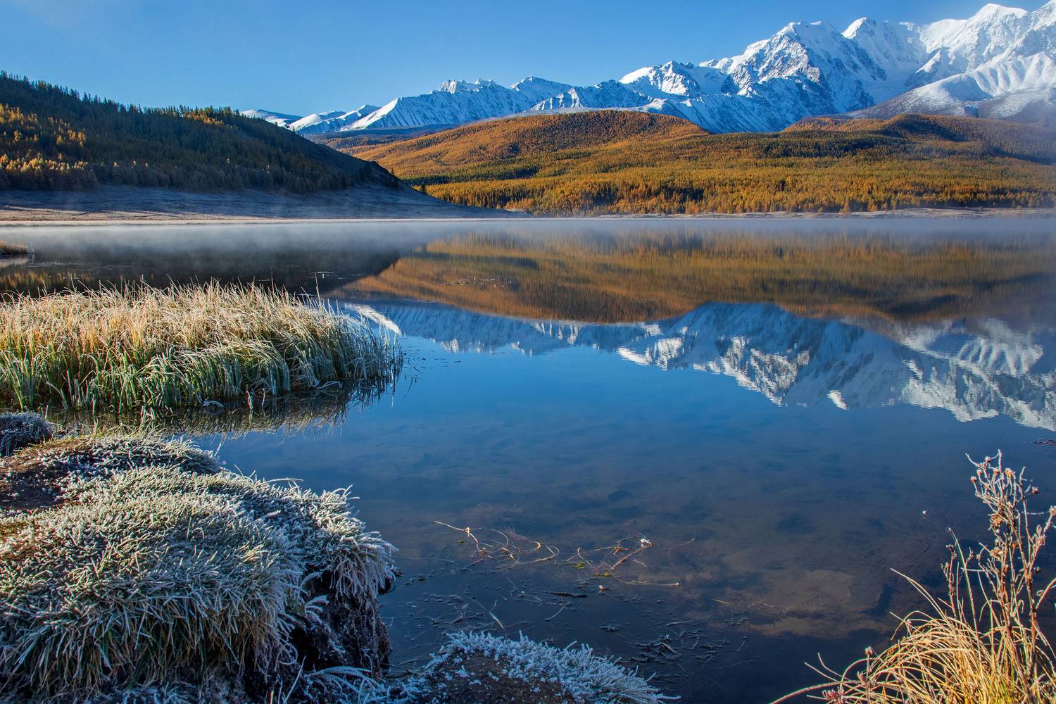 алтай, Добролюбова Тамара