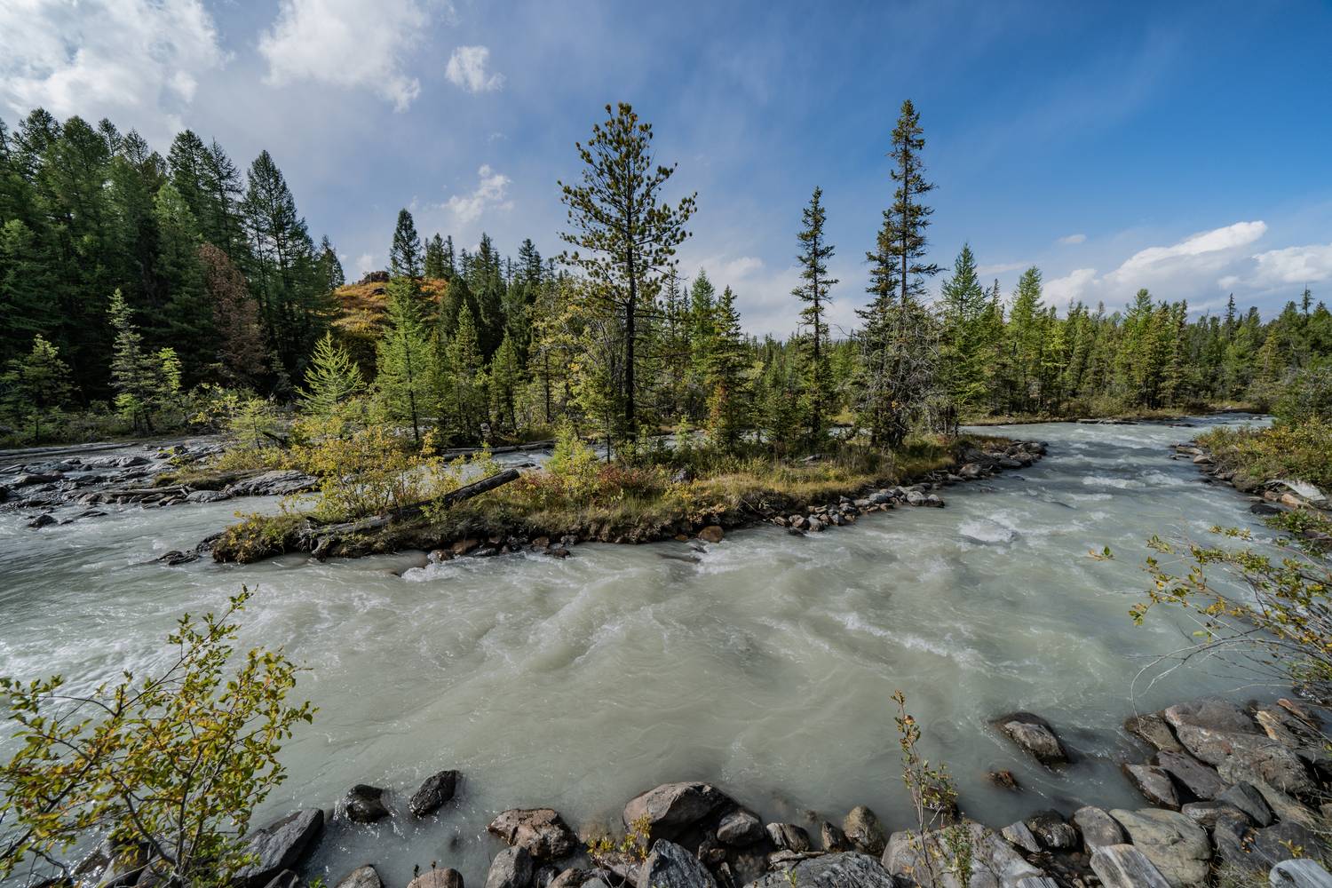 Россия, Горный Алтай, Кош-Агачский район, река Актуру, Перевалка, , Гаврилов Юрий