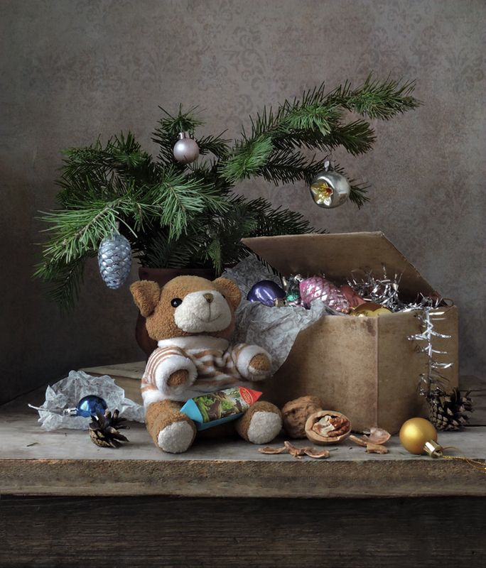 Мишка косолапый фото превью