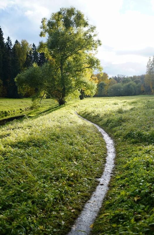 В Павловском парке фото превью