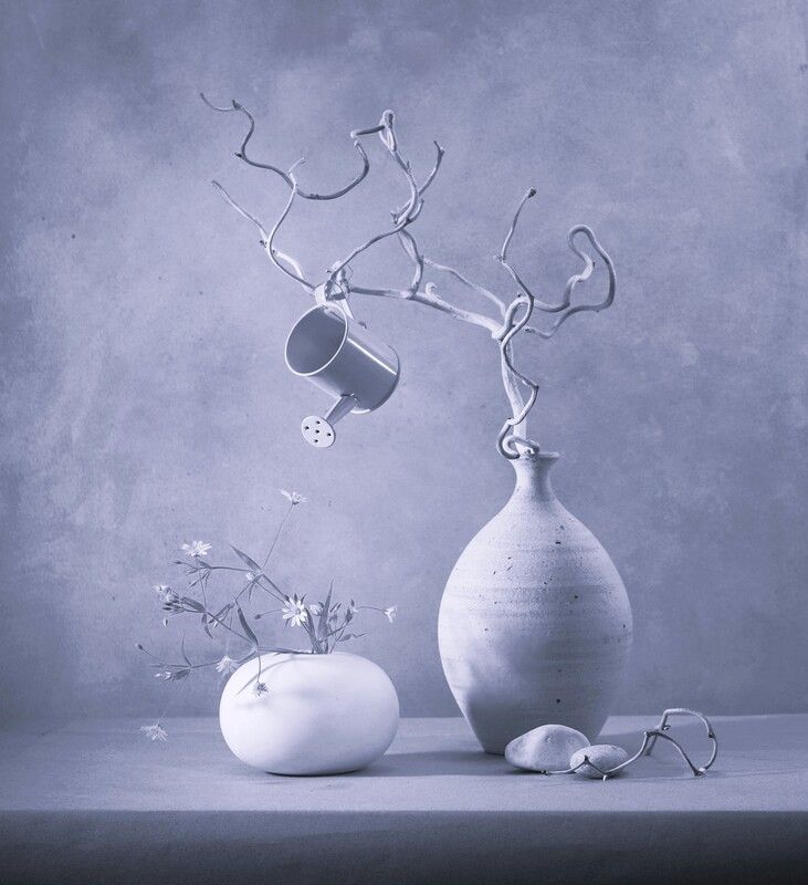 Зимний сад... фото превью