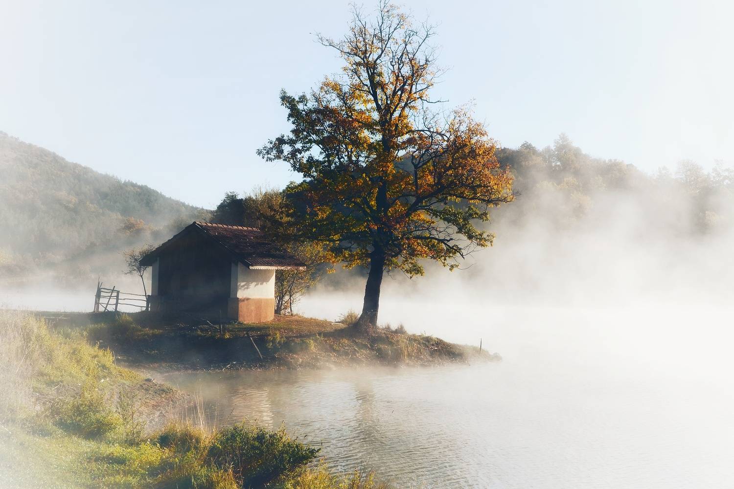 , Юлияна Стоянова