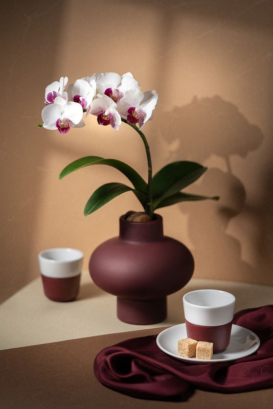 орхидея, ваза, цветы  фото превью