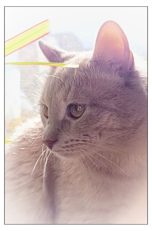 Мой Мальчик фото превью