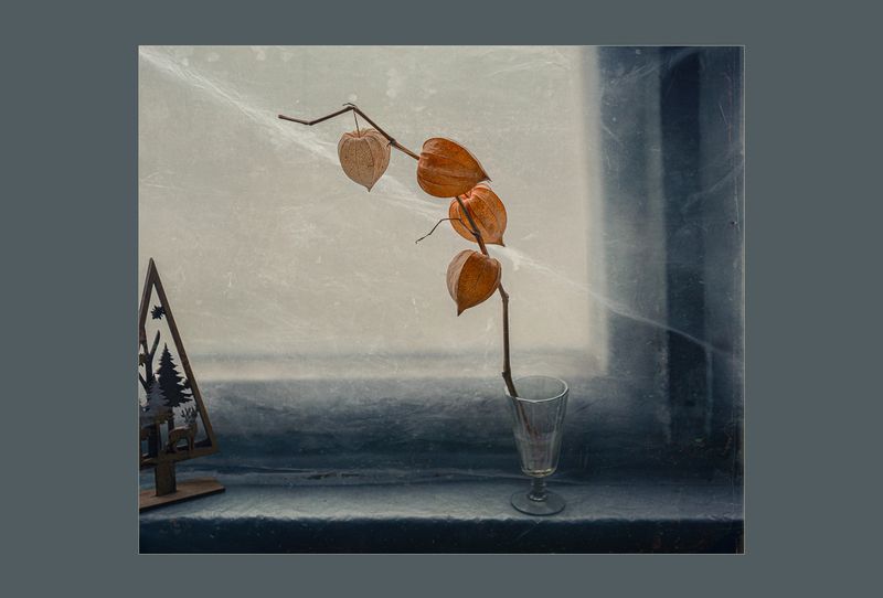 * * * фото превью