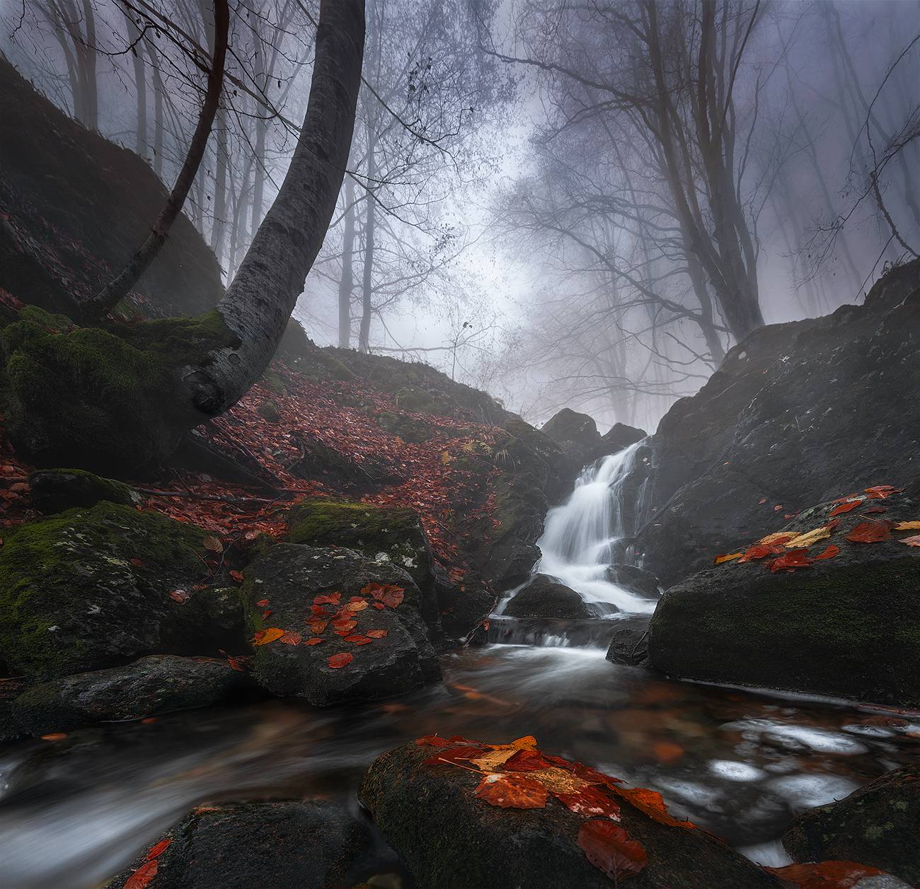 landscape nature scenery forest wood autumn mist misty fog foggy river longexposure mountain rocks vitosha bulgaria, Александър Александров