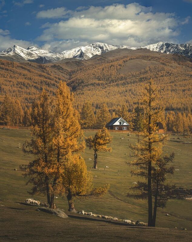 Джазатор. Алтай фото превью