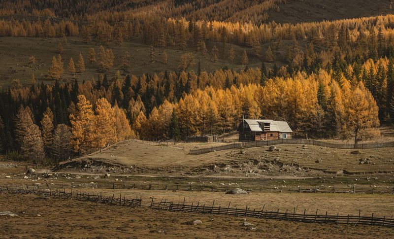 Джазатор. Алтай фото превью
