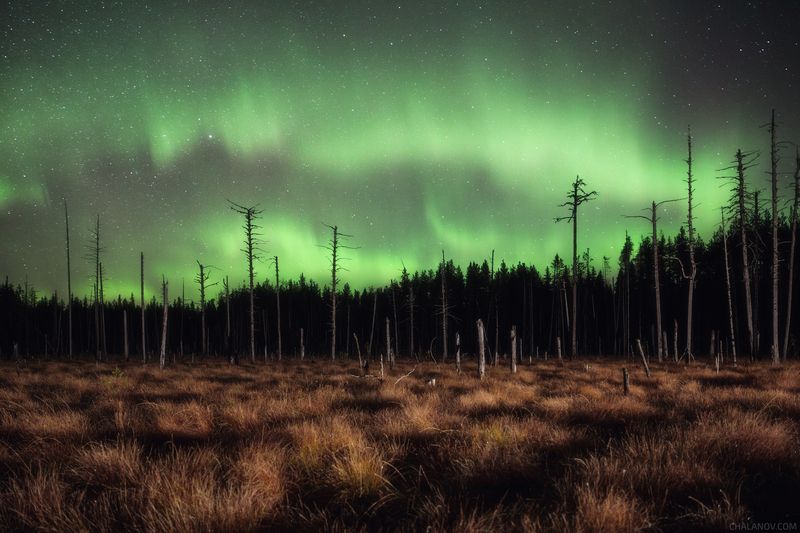 Осенний танец Северного сияния фото превью