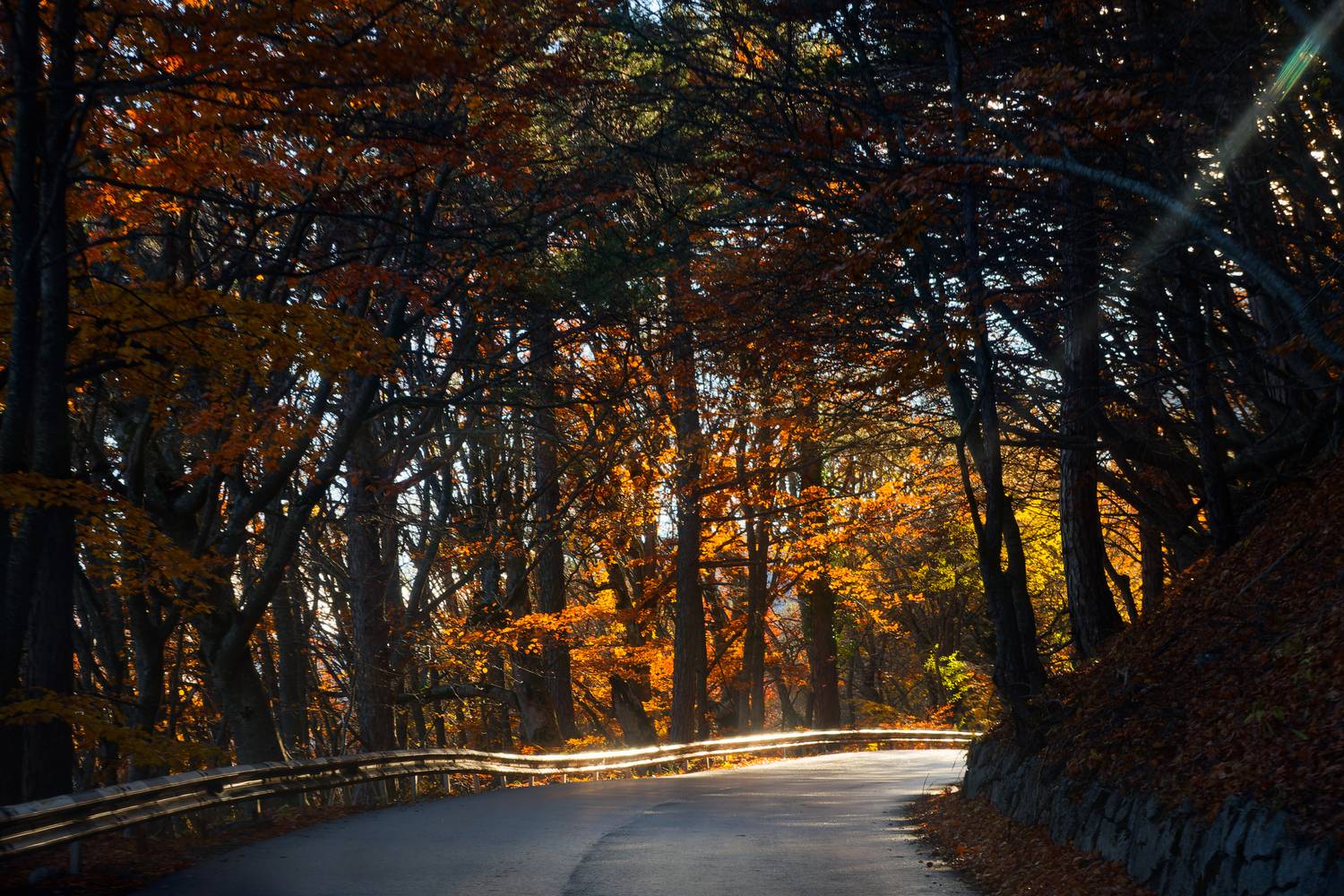 , Какоткин Роман