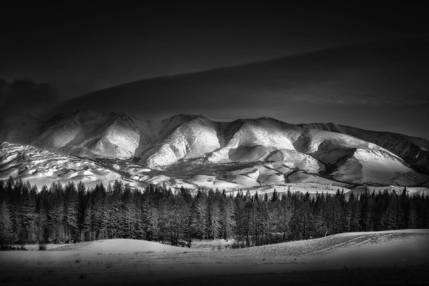 алтай, осень, пейзаж, Шевченко Николай