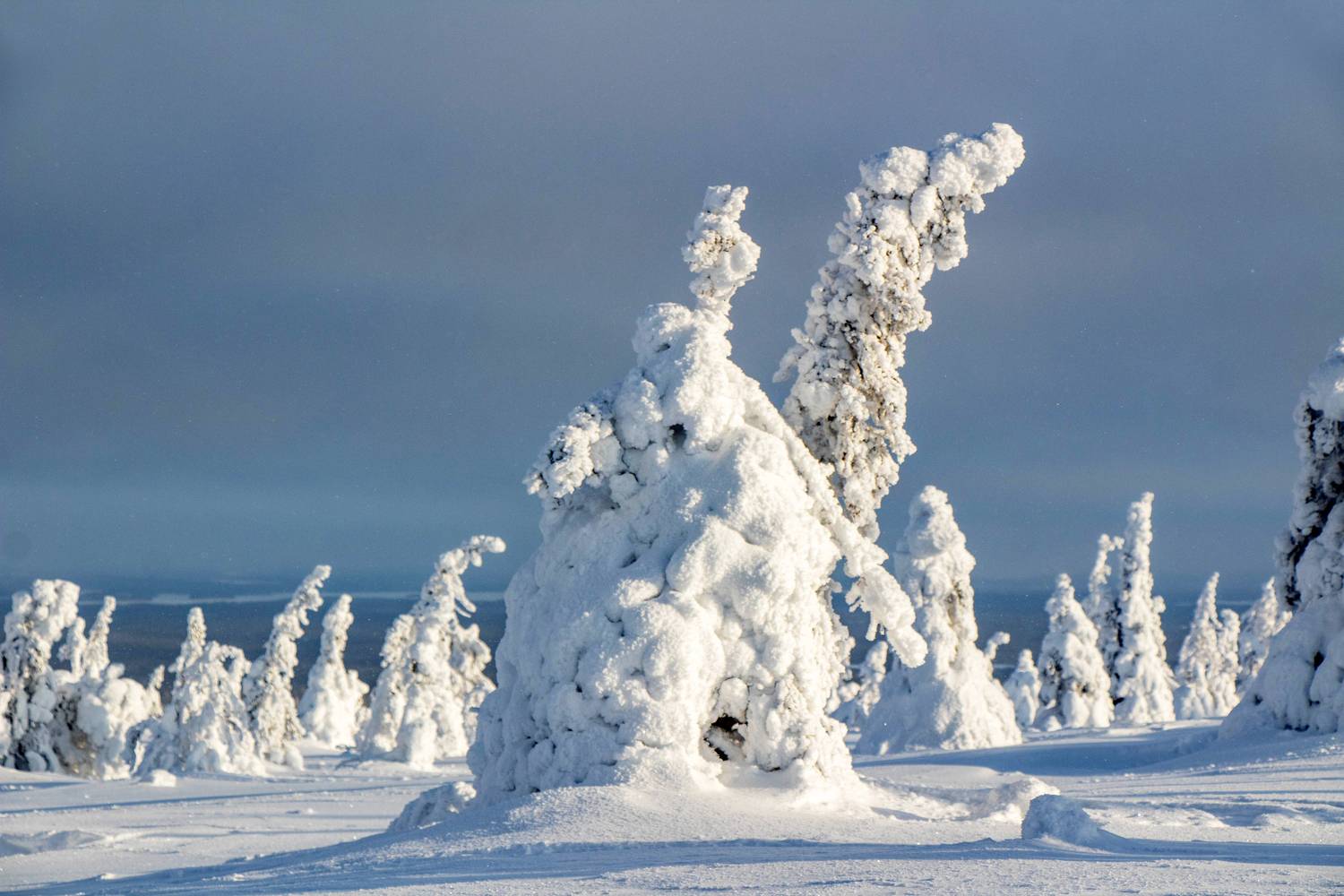 , Вадим Городницкий
