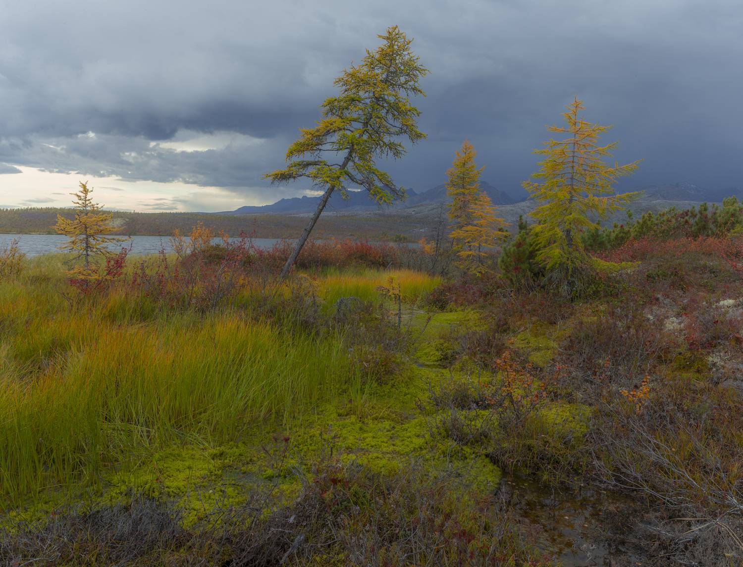 колыма,озеро джека лондона,осень,коса биологов., Георгий Башкин