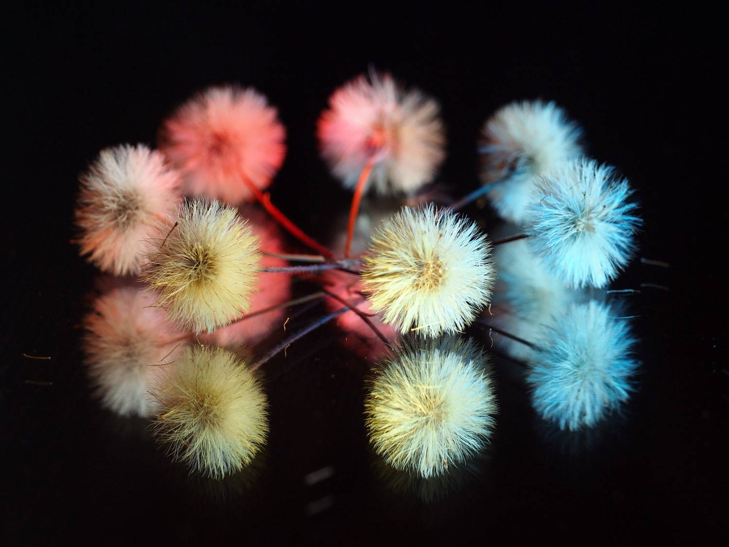 , Риганов Борис