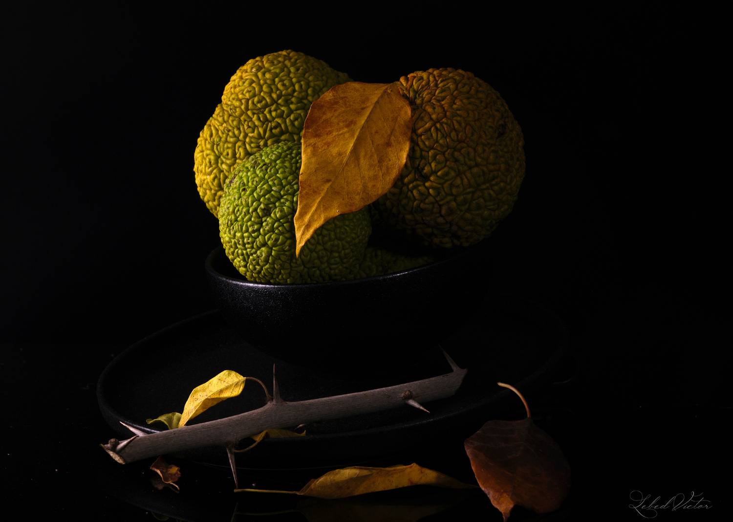 , Виктор Лебедь