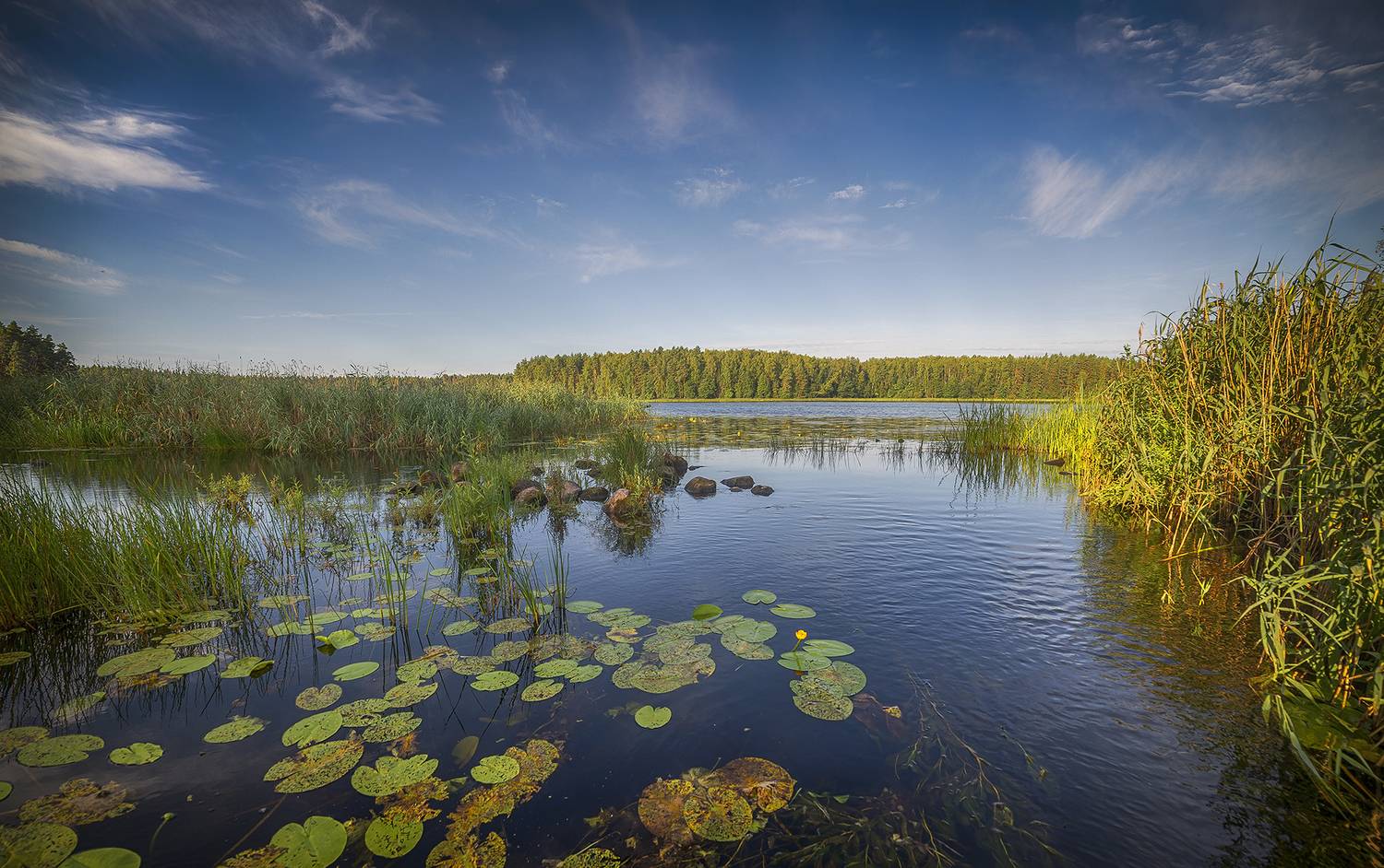 , Сергей Аникин
