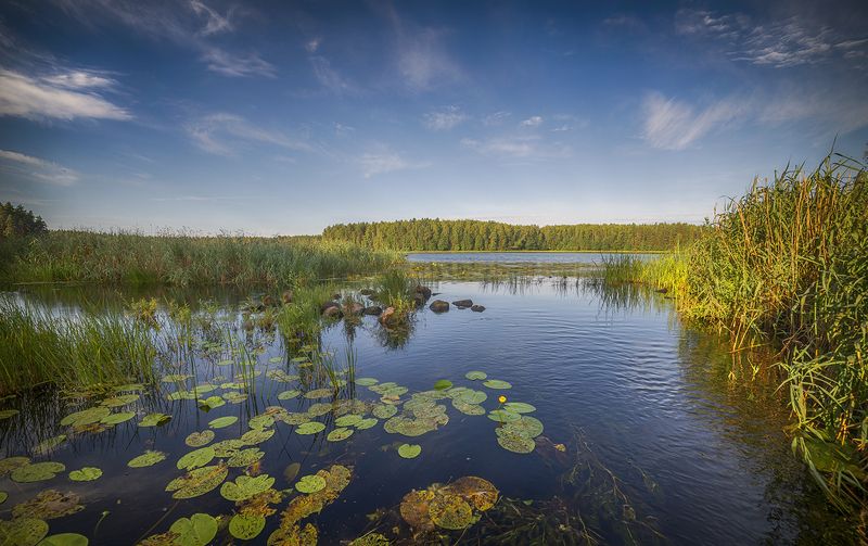 *** фото превью