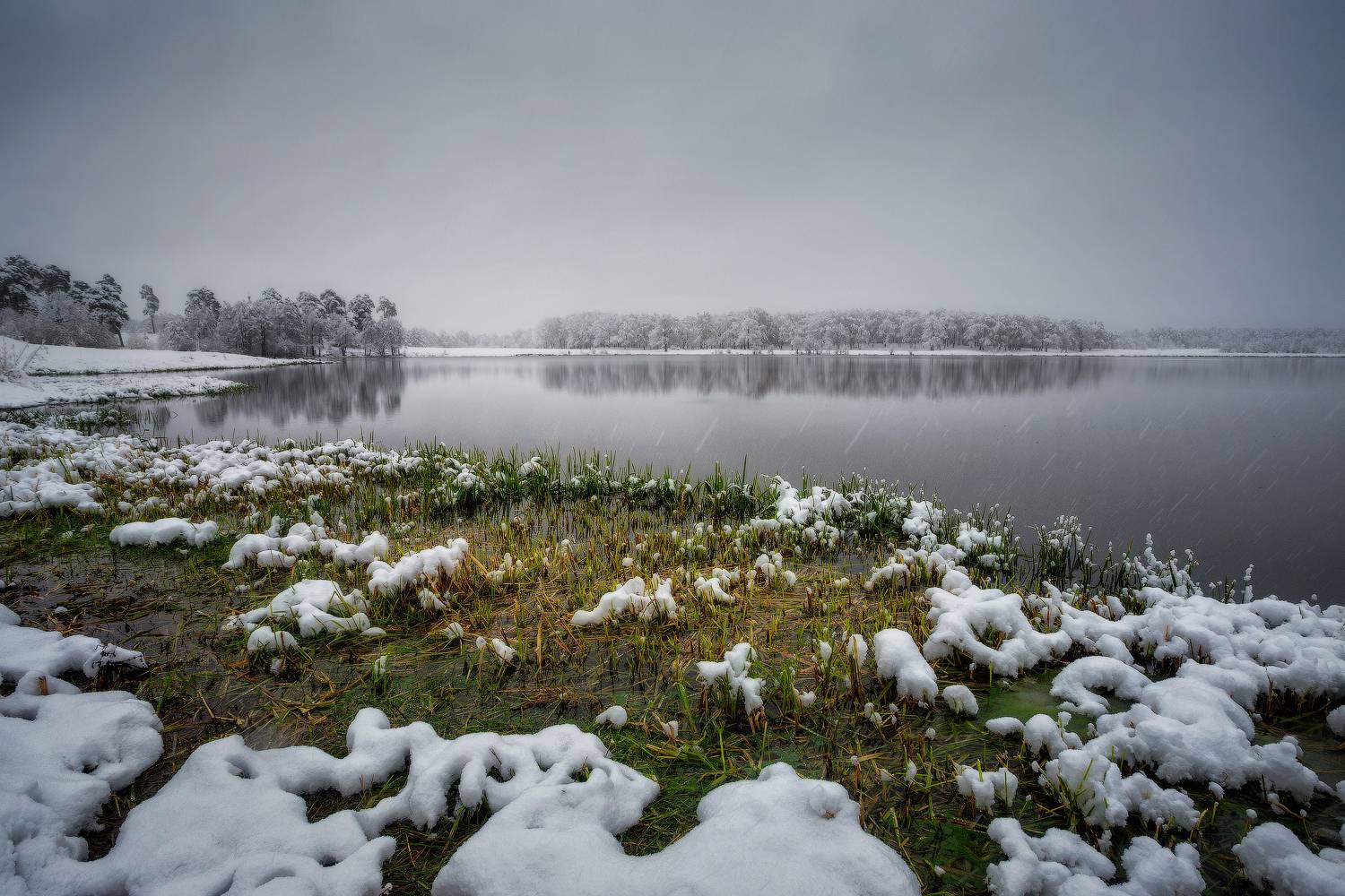 природа лес осень деревья озеро, Михаил Корнилов