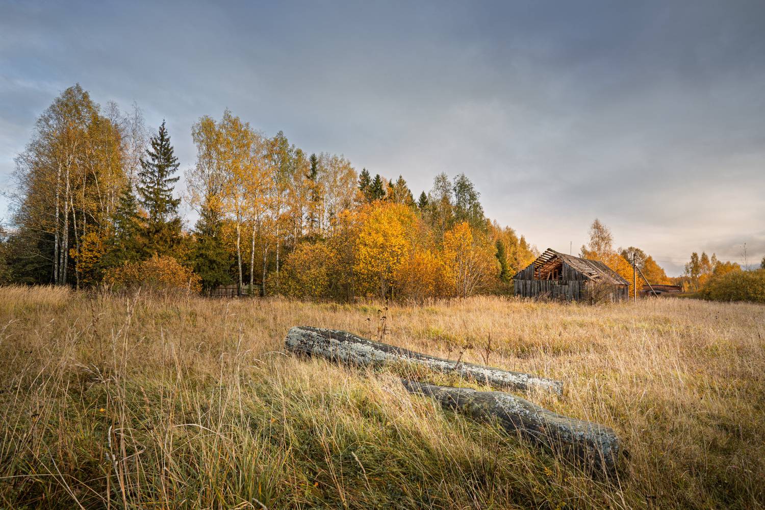 Смоленская обл. Торбеево, Зеленько Дмитрий