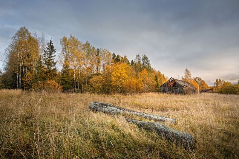 Смоленская обл. Торбеево Осенннее настроение... фото превью