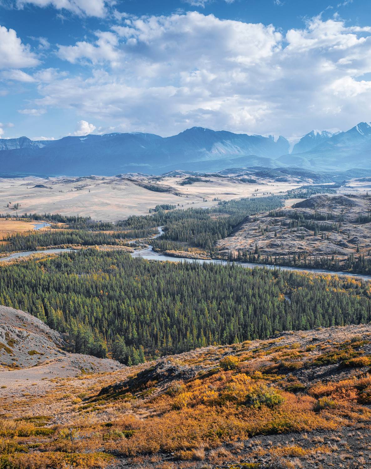 алтай, горы, природа, nikon, россия, Andrey