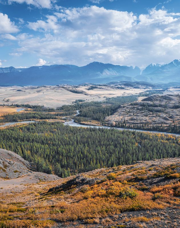 алтай, горы, природа, nikon, россия Курайская степь фото превью