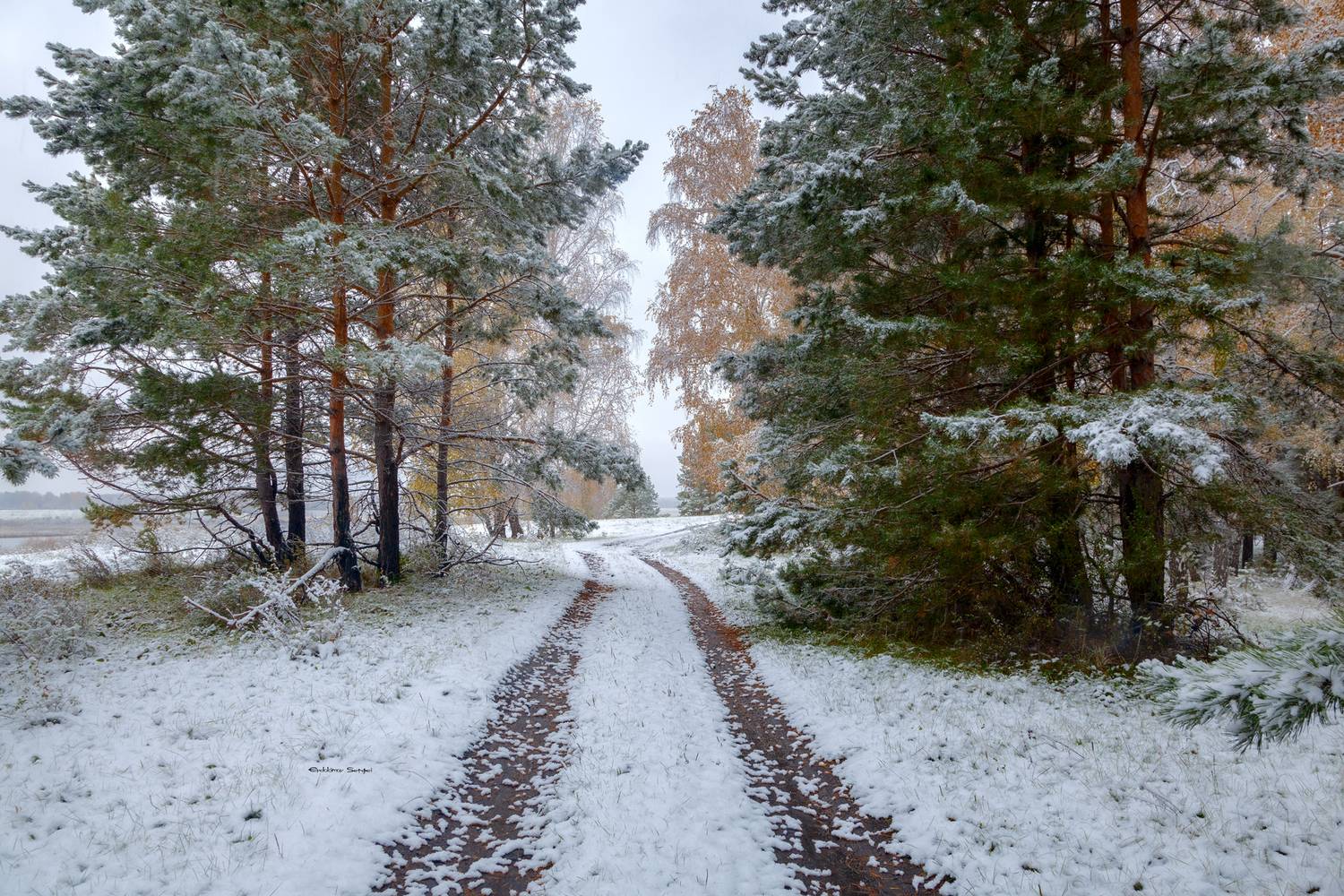 , Евдокимов Сергей