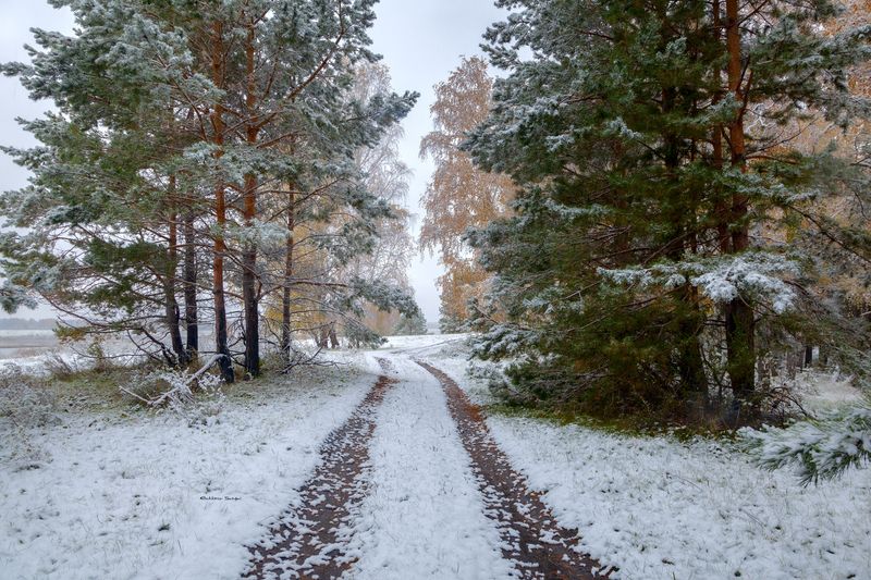 фото превью